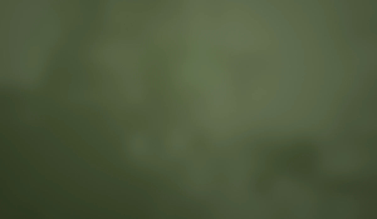 Fundo verde texturizado da secao Joias com Proposito